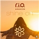 R.I.O. & Madcon - Shine On