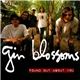 Gin Blossoms - Found Out About You